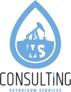 MS Consulting Service